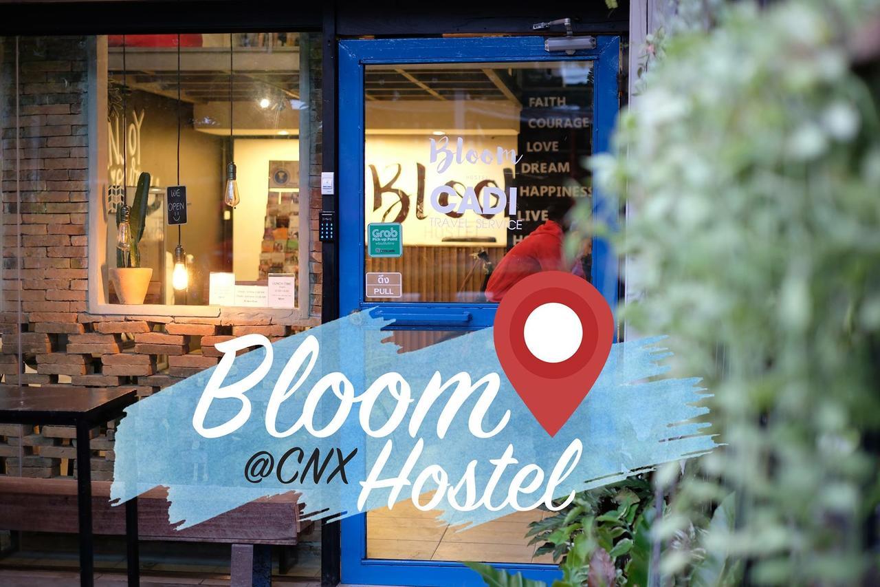 צ'יאנג מאי Bloomz Hostel מראה חיצוני תמונה